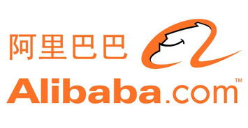 东莞电商培训机构选择指南 如何挑选适合你的优质课程