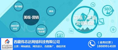 电子商务时代下拉萨网站建设的重要性——以伟志达网络为例
